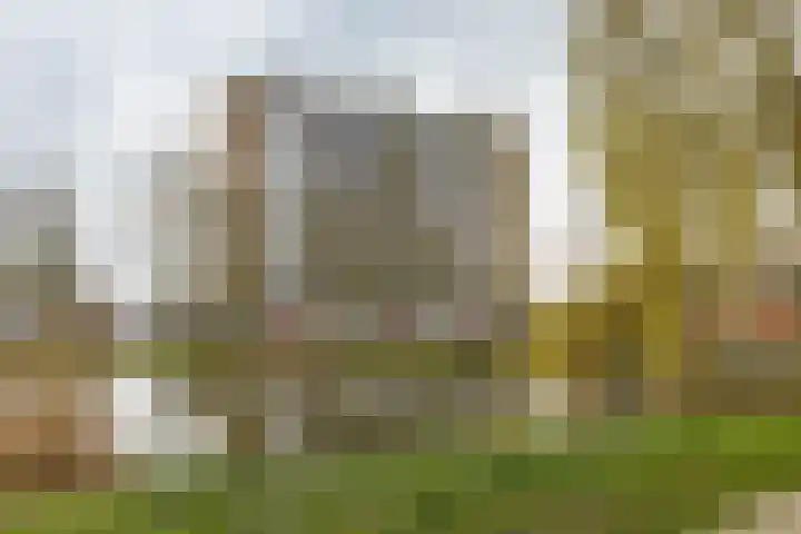 Van Lenneplaan 245 Groningen thumbnail 22