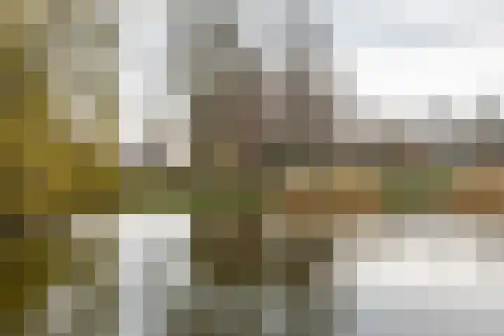 Van Lenneplaan 245 Groningen thumbnail 32