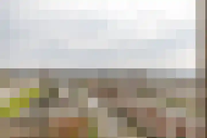 Van Lenneplaan 245 Groningen thumbnail 4