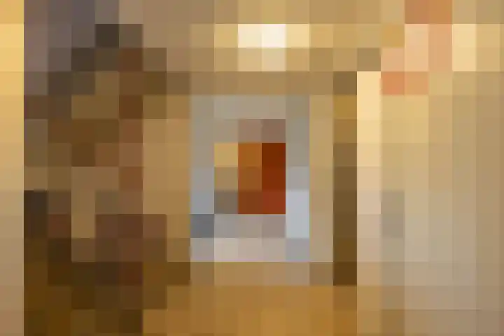 Van Lenneplaan 245 Groningen thumbnail 7