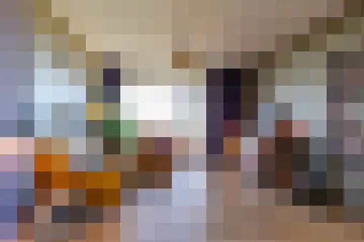 Van Lenneplaan 265 Groningen thumbnail 19