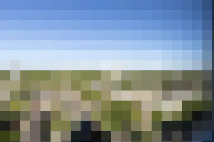 Van Lenneplaan 265 Groningen thumbnail 26