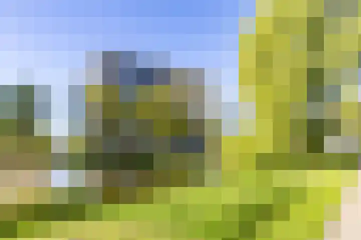 Van Lenneplaan 265 Groningen thumbnail 36