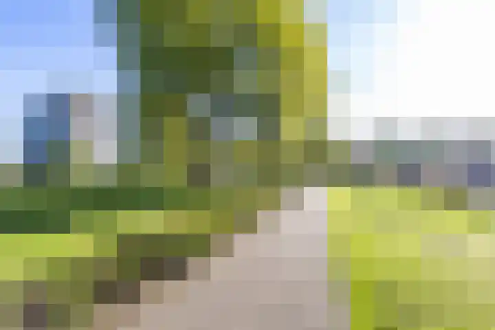 Van Lenneplaan 265 Groningen thumbnail 5