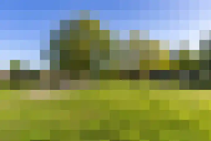 Van Lenneplaan 265 Groningen thumbnail 6