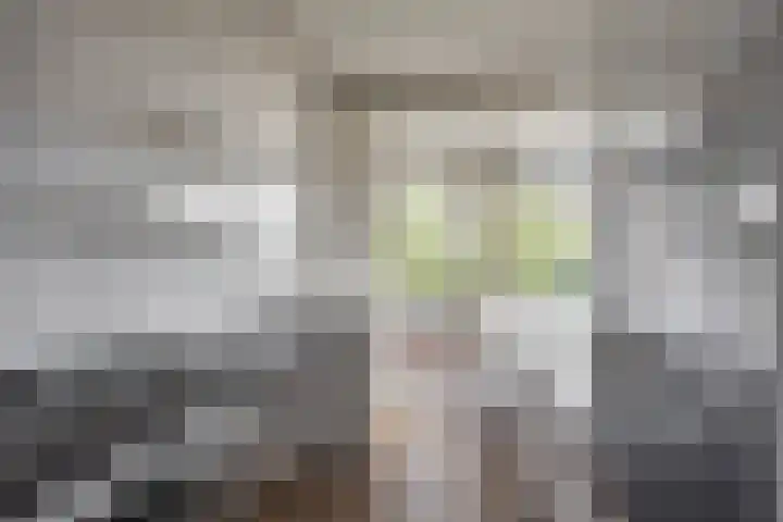 Van Lenneplaan 27 Groningen thumbnail 12