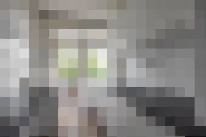 Van Lenneplaan 27 Groningen thumbnail 13