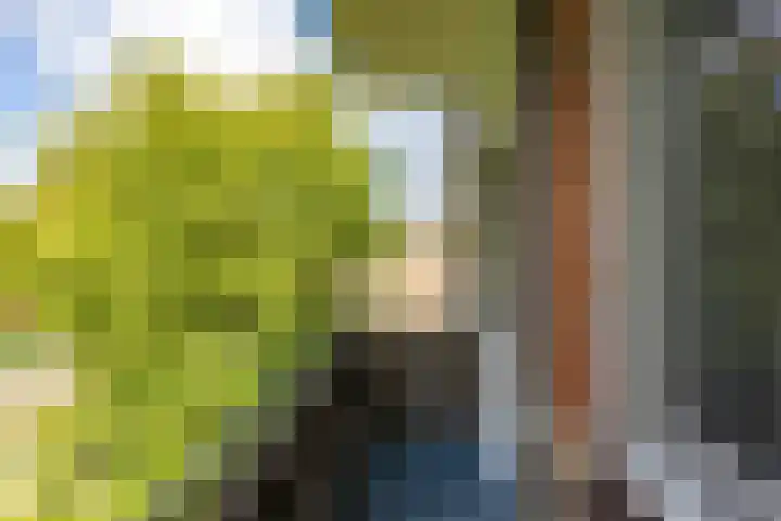 Van Lenneplaan 27 Groningen thumbnail 22