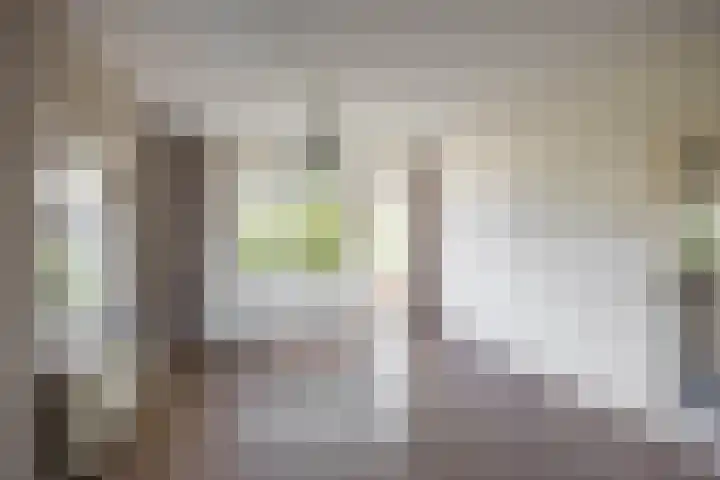 Van Lenneplaan 27 Groningen thumbnail 25