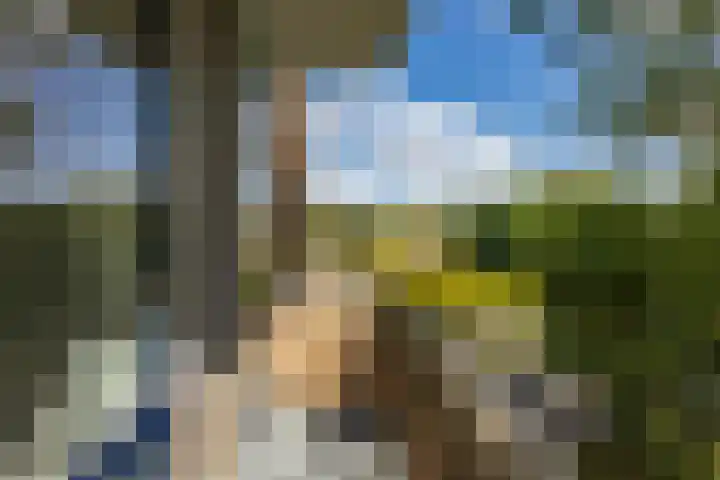 Van Lenneplaan 27 Groningen thumbnail 27