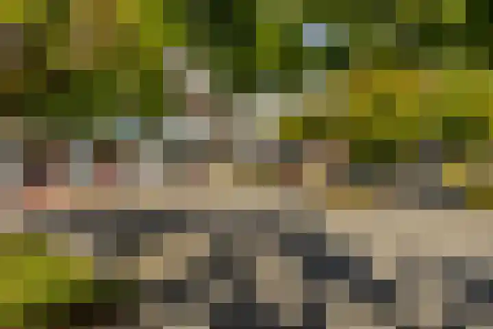 Van Lenneplaan 27 Groningen thumbnail 4