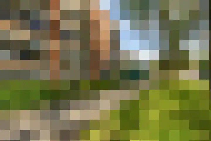 Van Lenneplaan 27 Groningen thumbnail 6