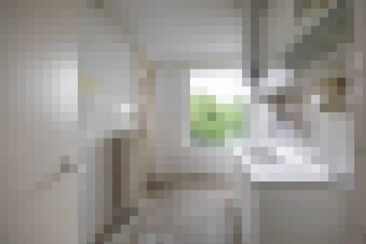 Van Lenneplaan 303 Groningen thumbnail 16