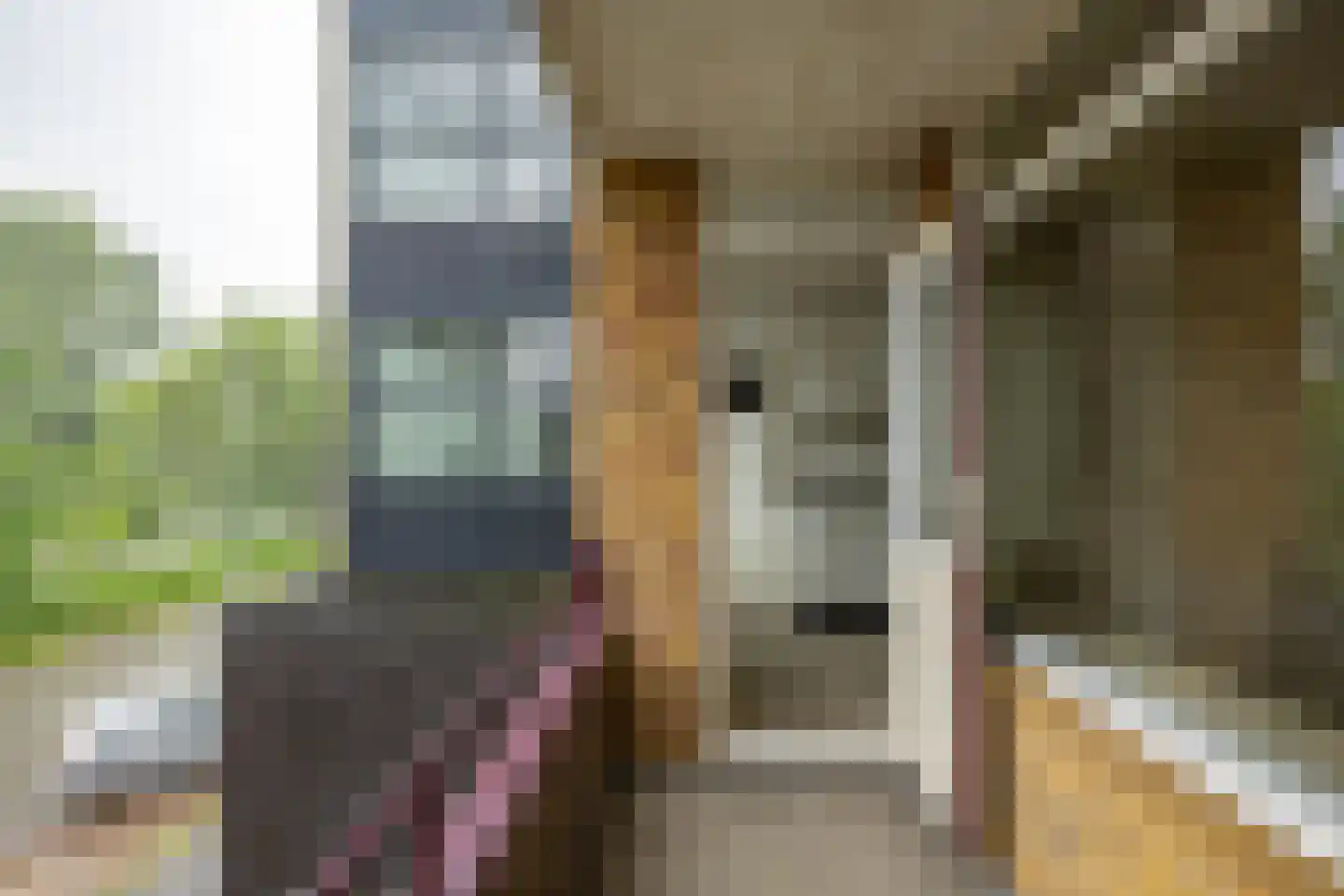 Van Lenneplaan 303 Groningen thumbnail 24