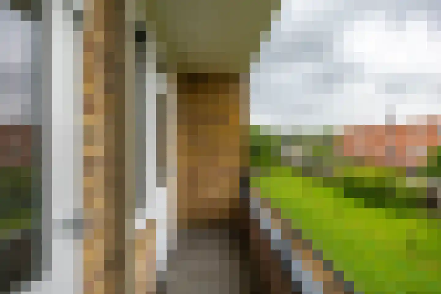 Van Lenneplaan 303 Groningen thumbnail 32