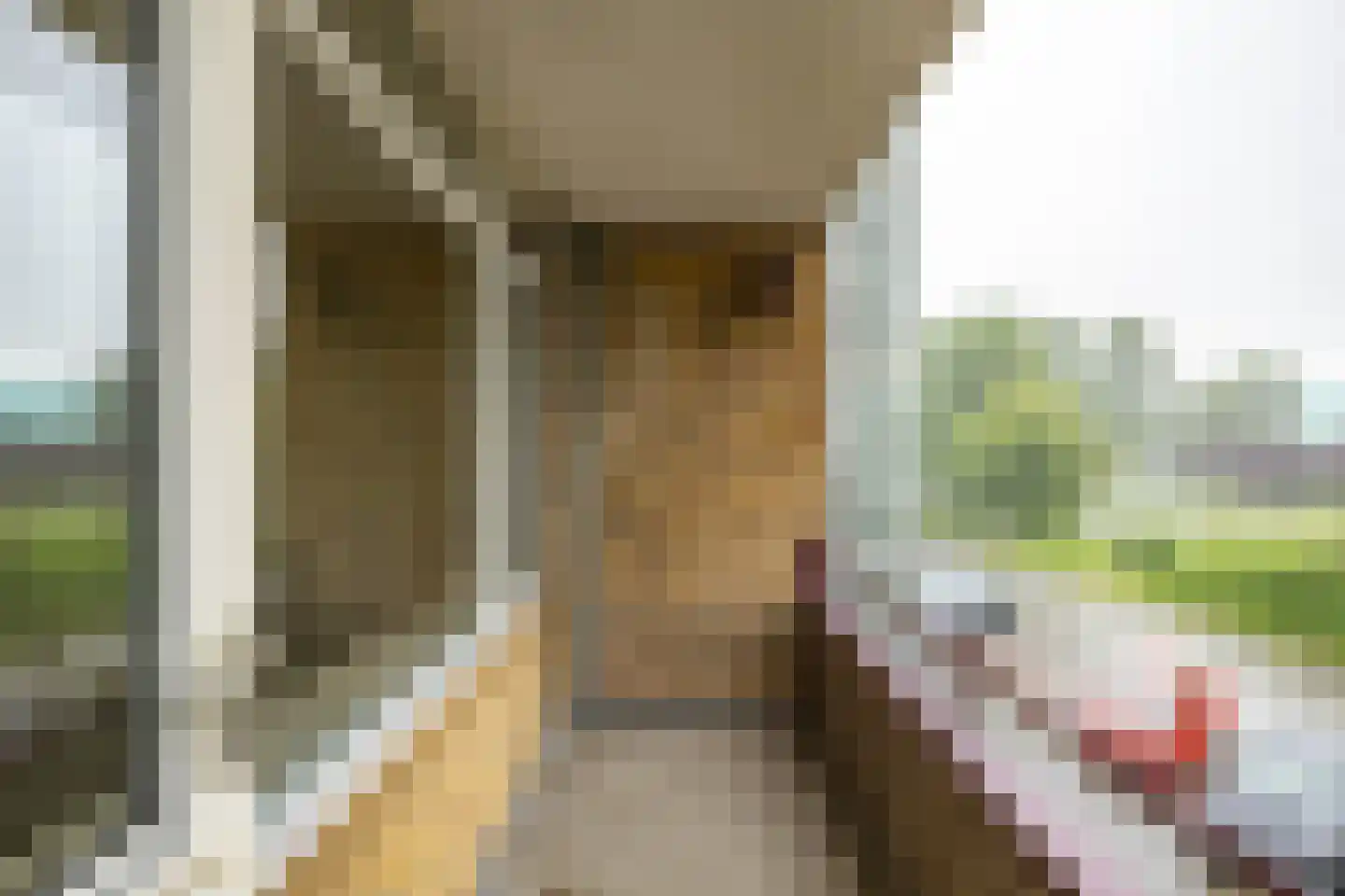 Van Lenneplaan 303 Groningen thumbnail 4