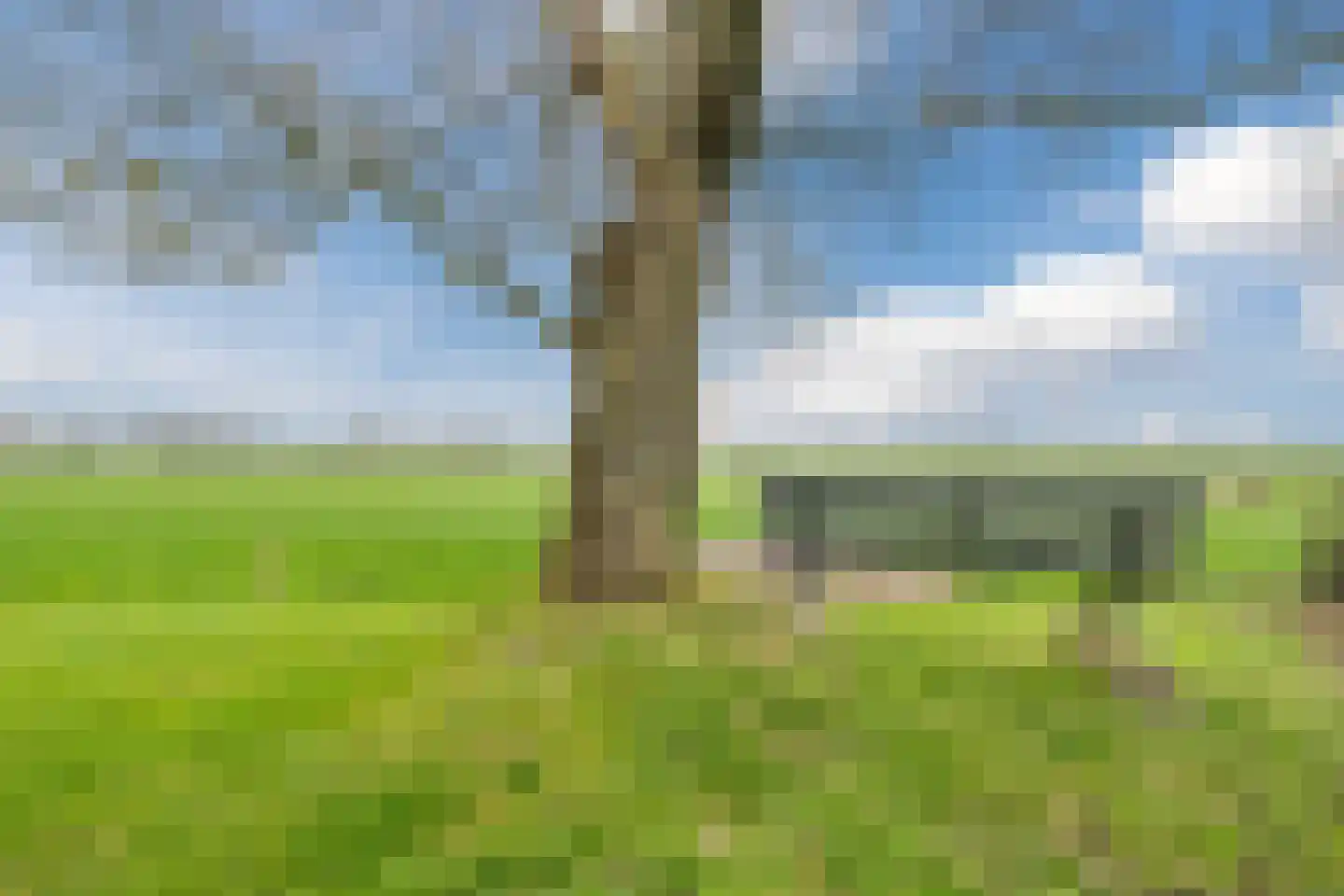 van Lenneplaan 33 Soest thumbnail 14