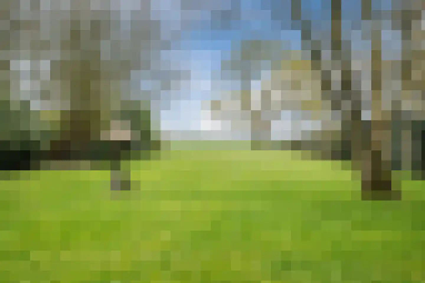 van Lenneplaan 33 Soest thumbnail 44