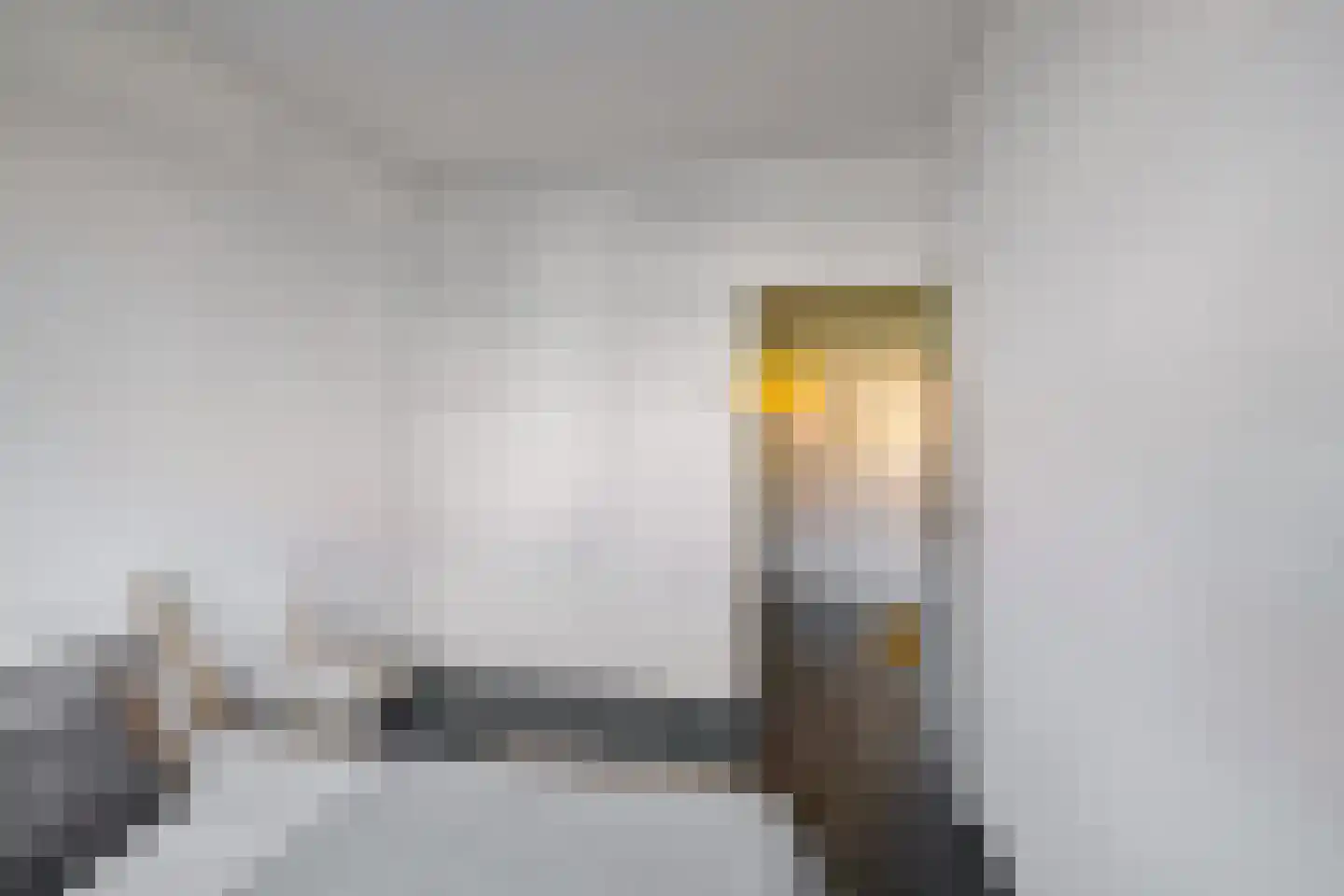 Van Lenneplaan 333 Groningen thumbnail 22