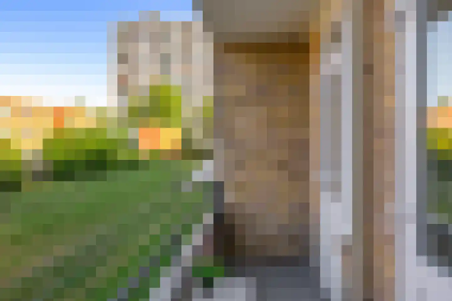 Van Lenneplaan 333 Groningen thumbnail 23
