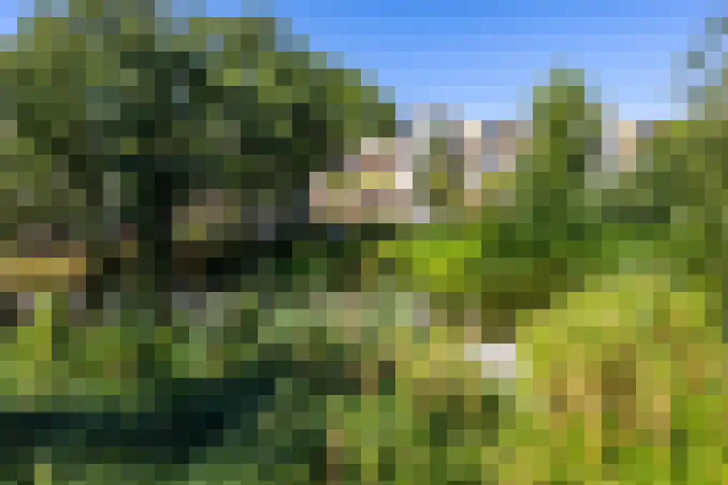 Van Lenneplaan 333 Groningen thumbnail 30