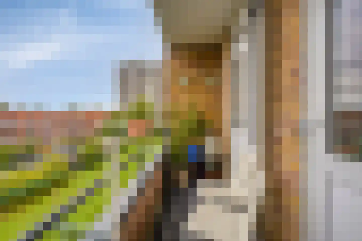 Van Lenneplaan 341 Groningen thumbnail 15