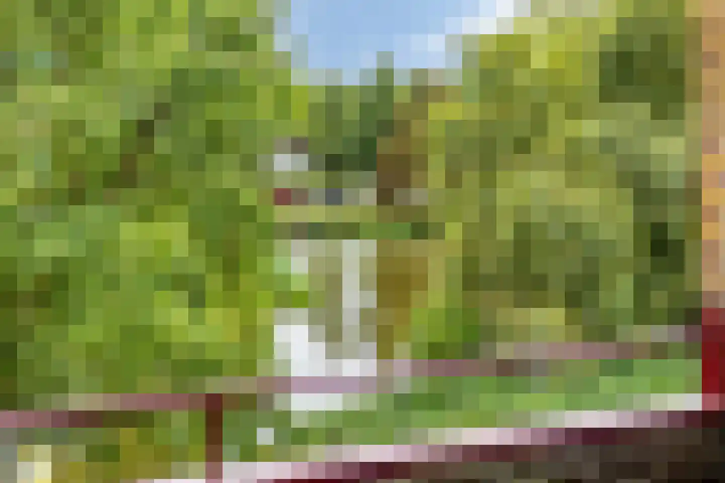 Van Lenneplaan 341 Groningen thumbnail 22