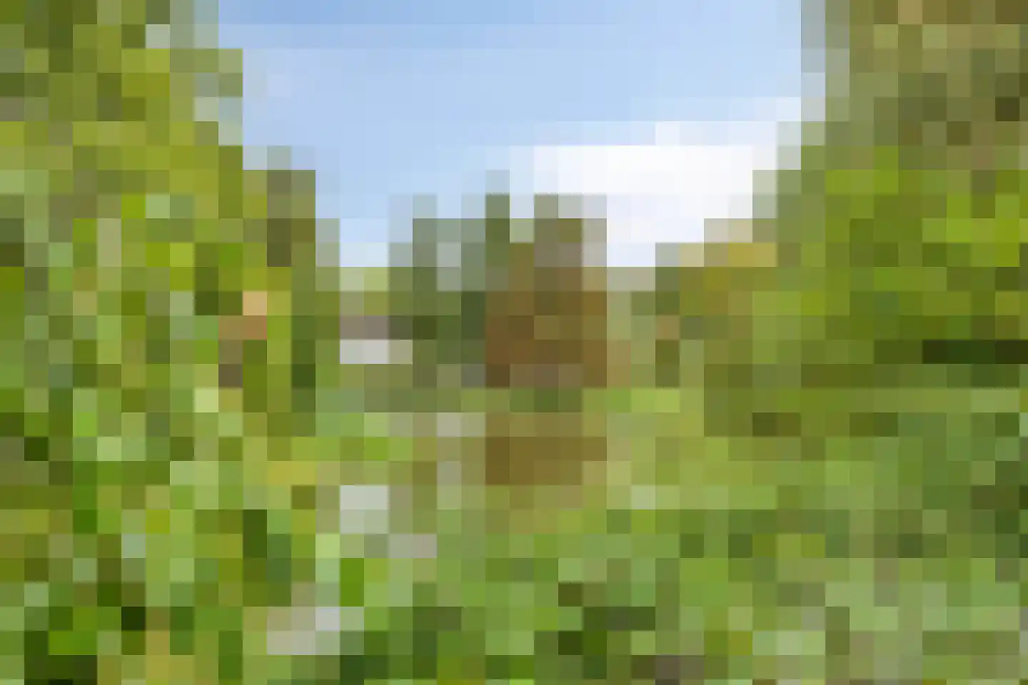 Van Lenneplaan 341 Groningen thumbnail 32