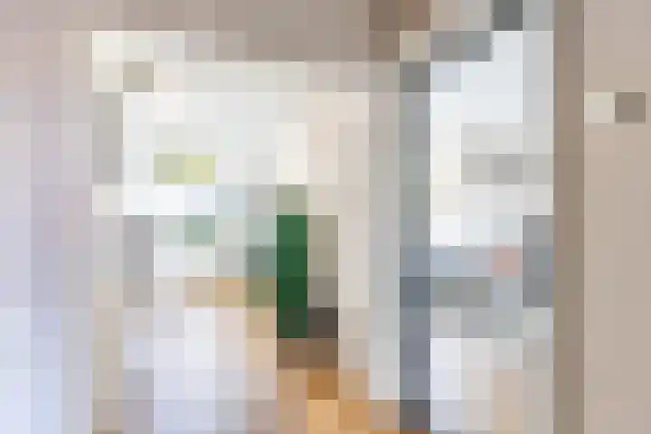 Van Lenneplaan 351 Groningen thumbnail 23