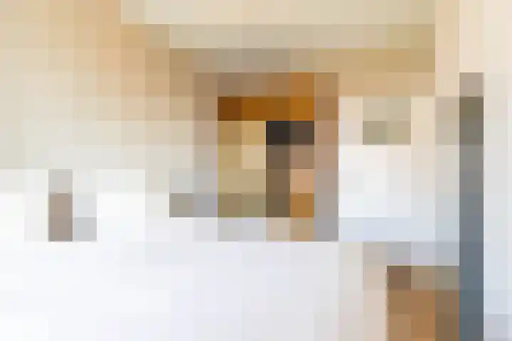 Van Lenneplaan 351 Groningen thumbnail 32