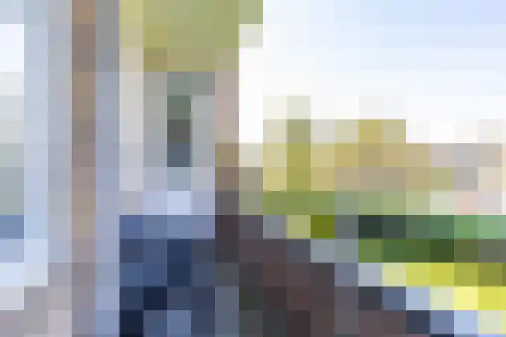 Van Lenneplaan 351 Groningen thumbnail 33