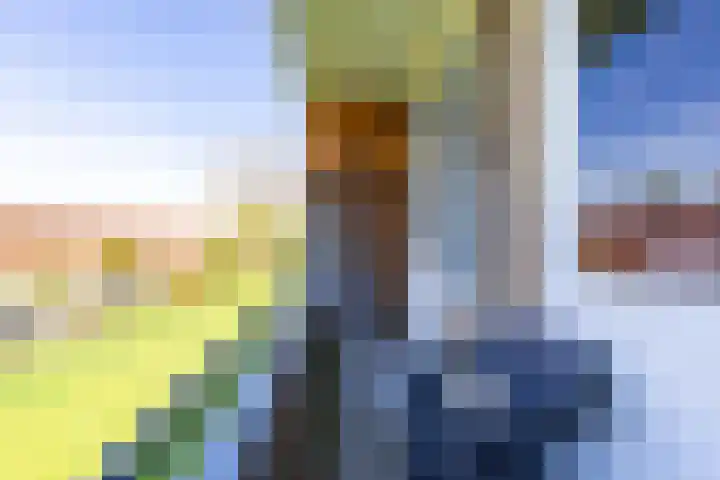 Van Lenneplaan 351 Groningen thumbnail 34