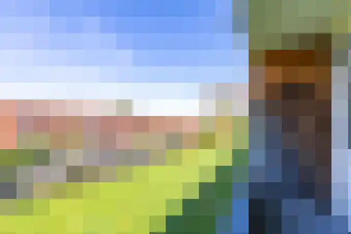 Van Lenneplaan 351 Groningen thumbnail 35