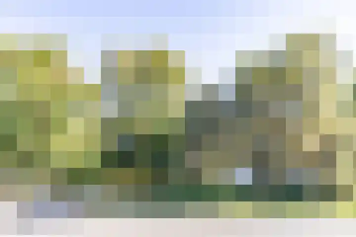 Van Lenneplaan 351 Groningen thumbnail 42