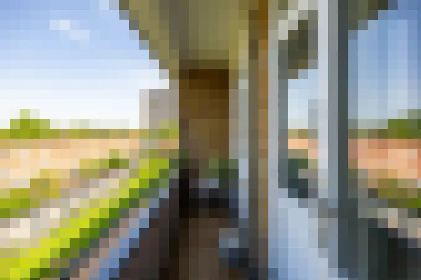 Van Lenneplaan 377 Groningen thumbnail 22