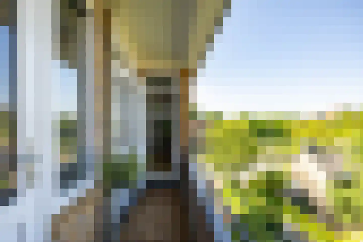 Van Lenneplaan 377 Groningen thumbnail 23
