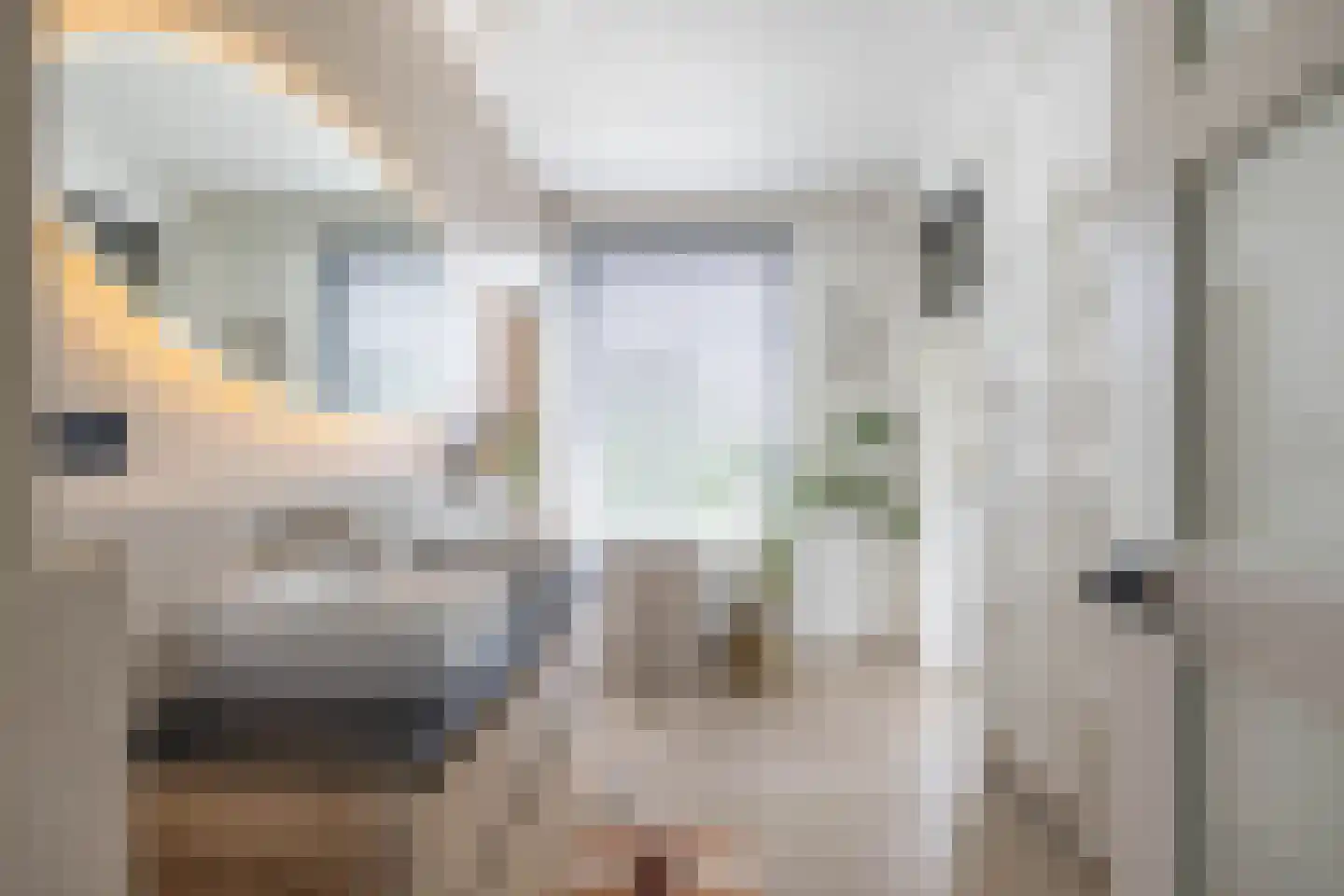 Van Lenneplaan 377 Groningen thumbnail 28