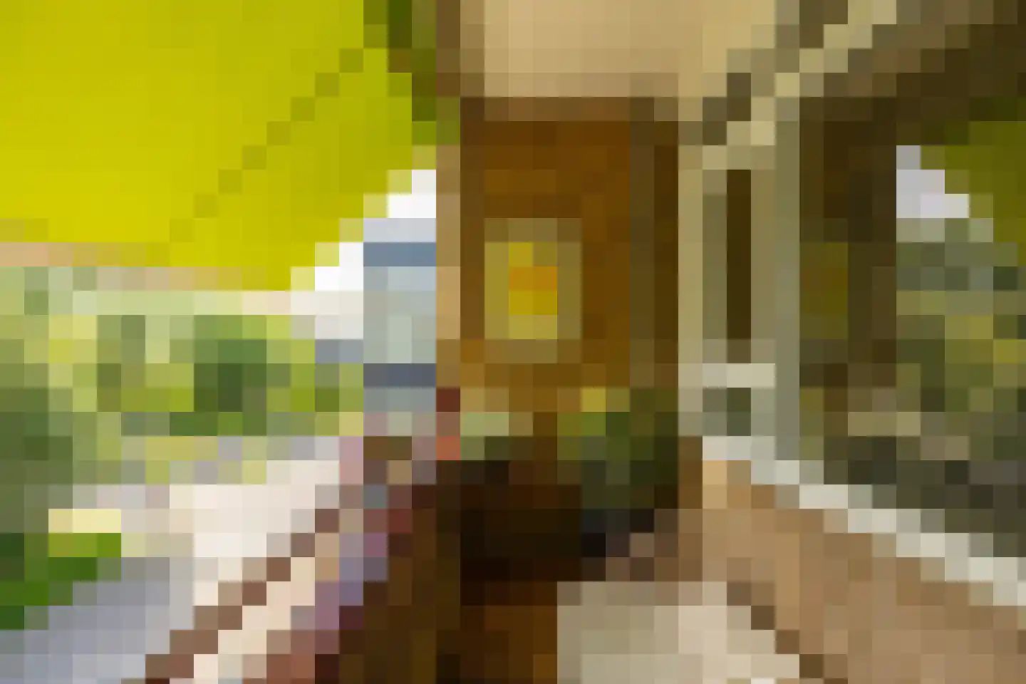 Van Lenneplaan 377 Groningen thumbnail 33