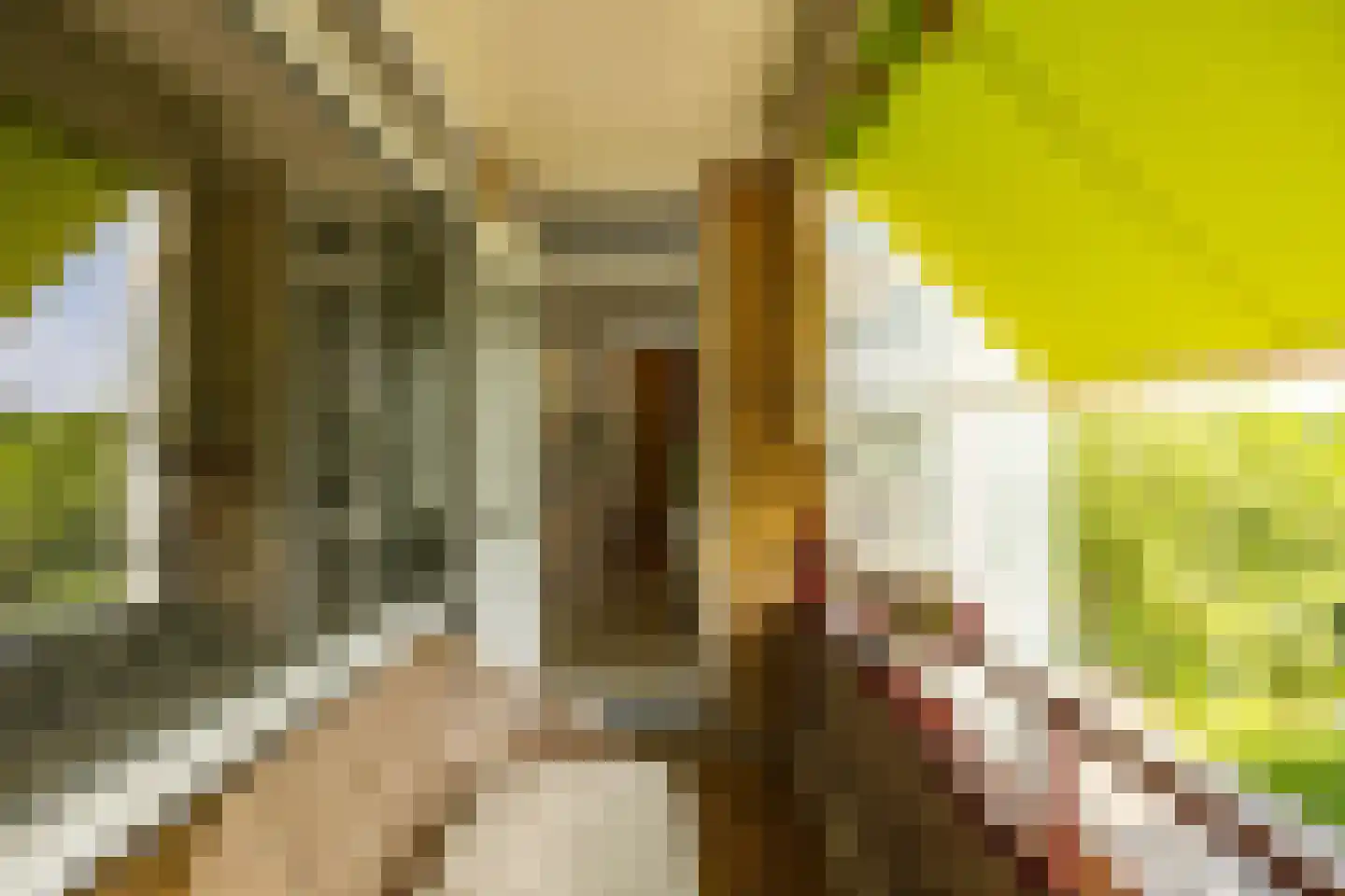 Van Lenneplaan 377 Groningen thumbnail 34