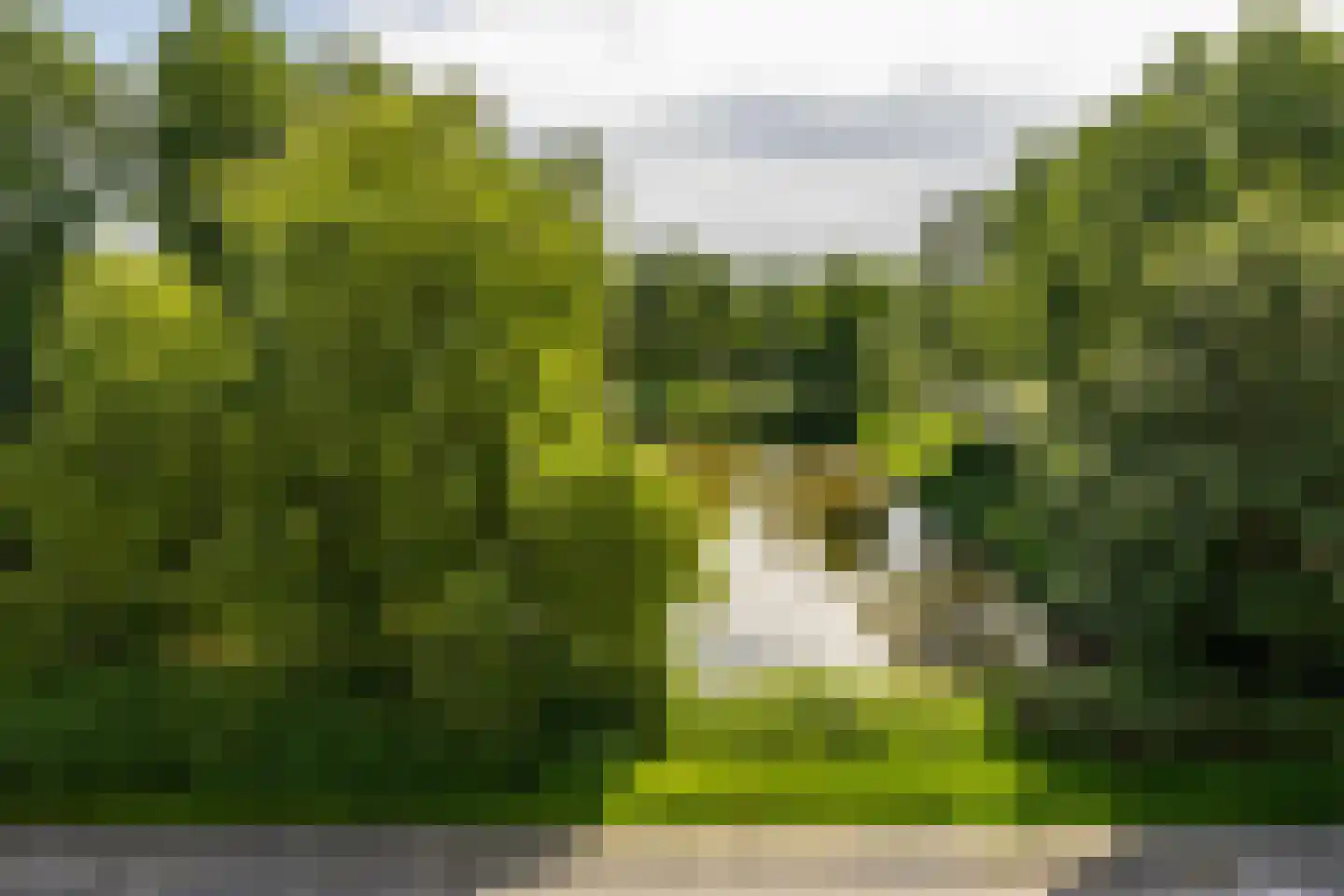 Van Lenneplaan 377 Groningen thumbnail 35