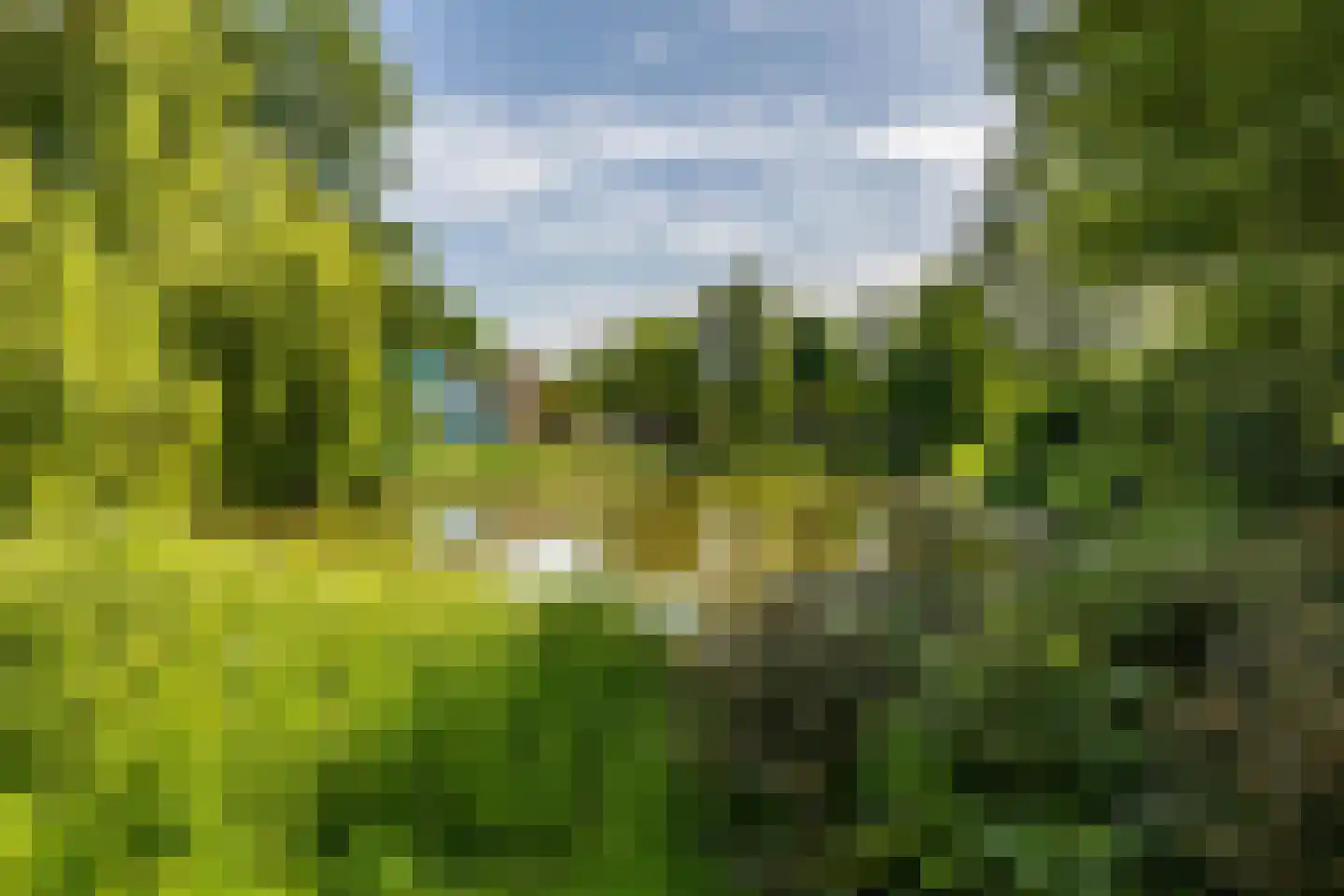 Van Lenneplaan 377 Groningen thumbnail 41