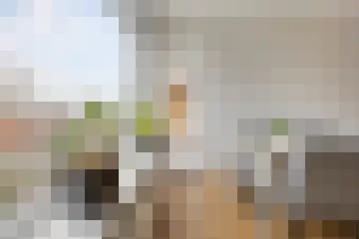 Van Lenneplaan 387 Groningen thumbnail 15