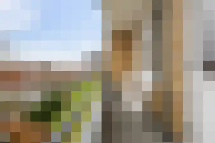 Van Lenneplaan 387 Groningen thumbnail 16