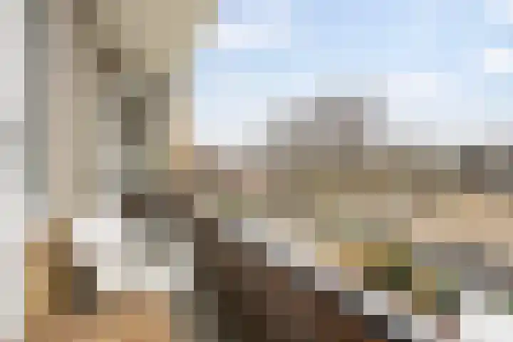 Van Lenneplaan 387 Groningen thumbnail 17
