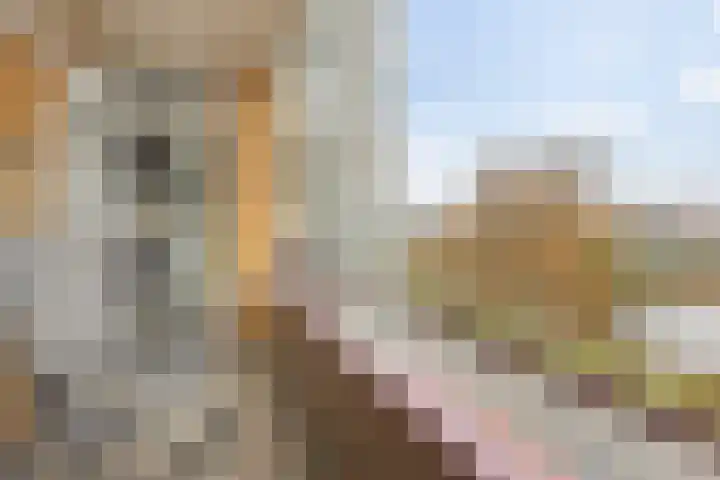 Van Lenneplaan 387 Groningen thumbnail 18