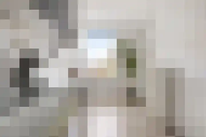 Van Lenneplaan 387 Groningen thumbnail 20