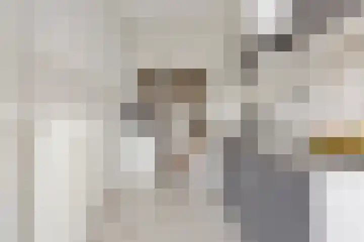 Van Lenneplaan 387 Groningen thumbnail 22