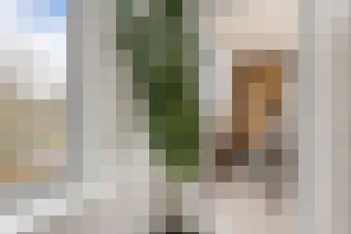 Van Lenneplaan 387 Groningen thumbnail 30