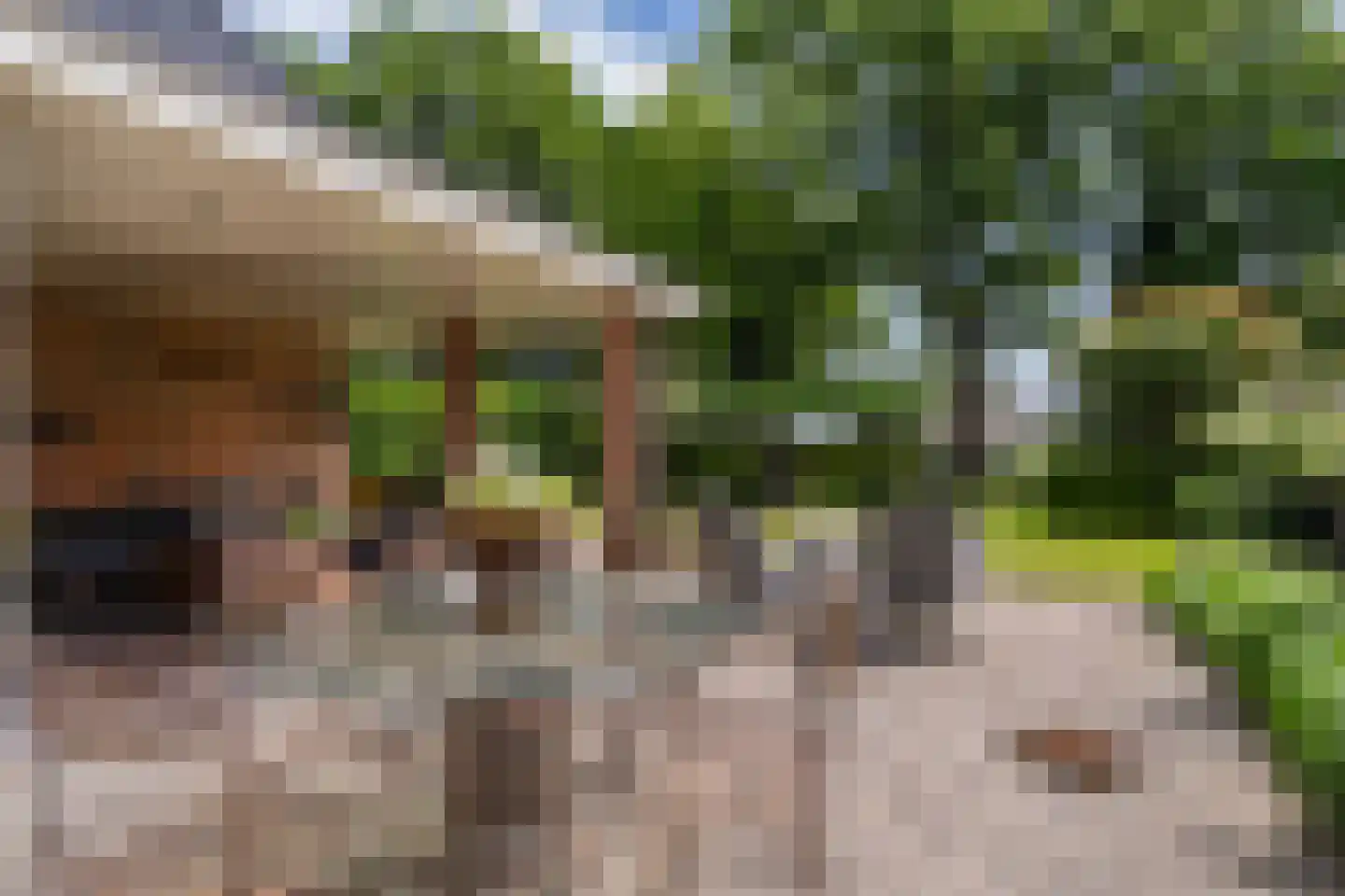 van Lenneplaan 49 Soest thumbnail 24