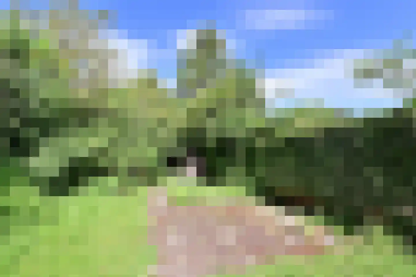 van Lenneplaan 54 Soest thumbnail 6